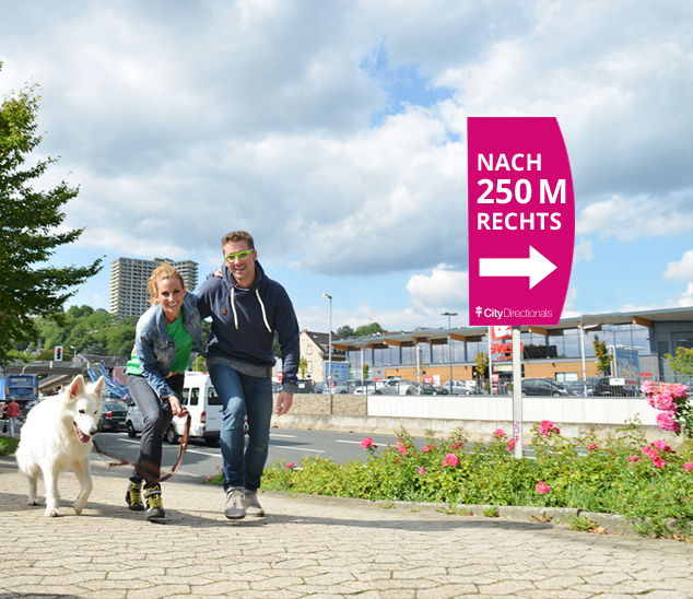 plakat-verkauft.de_werbeschilder_city Hinweisschild: Nach 250 M rechts; Pfeil nach rechts